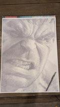 The Hulk: Black Ballpoint Pen Portrait