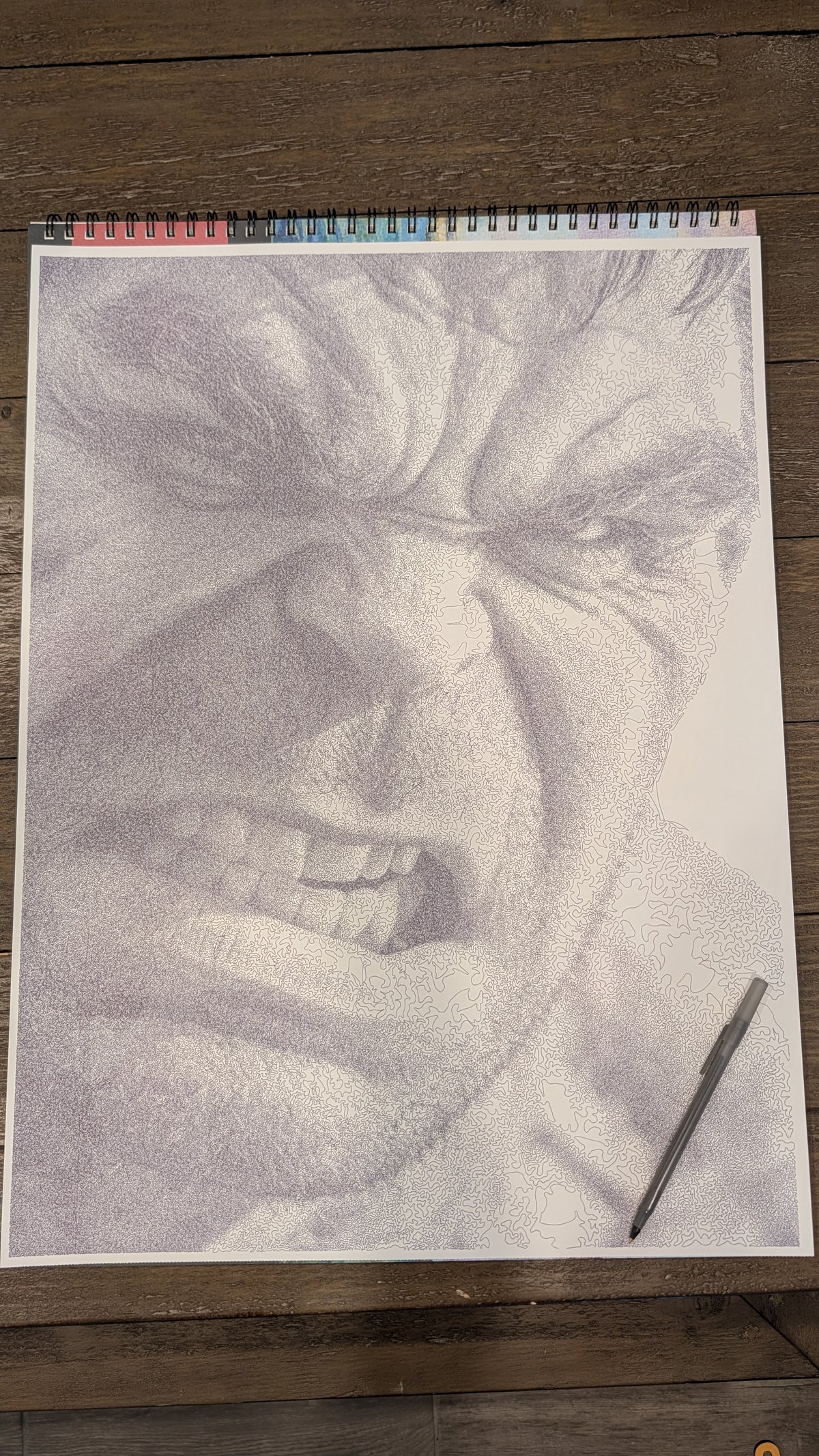 The Hulk: Black Ballpoint Pen Portrait