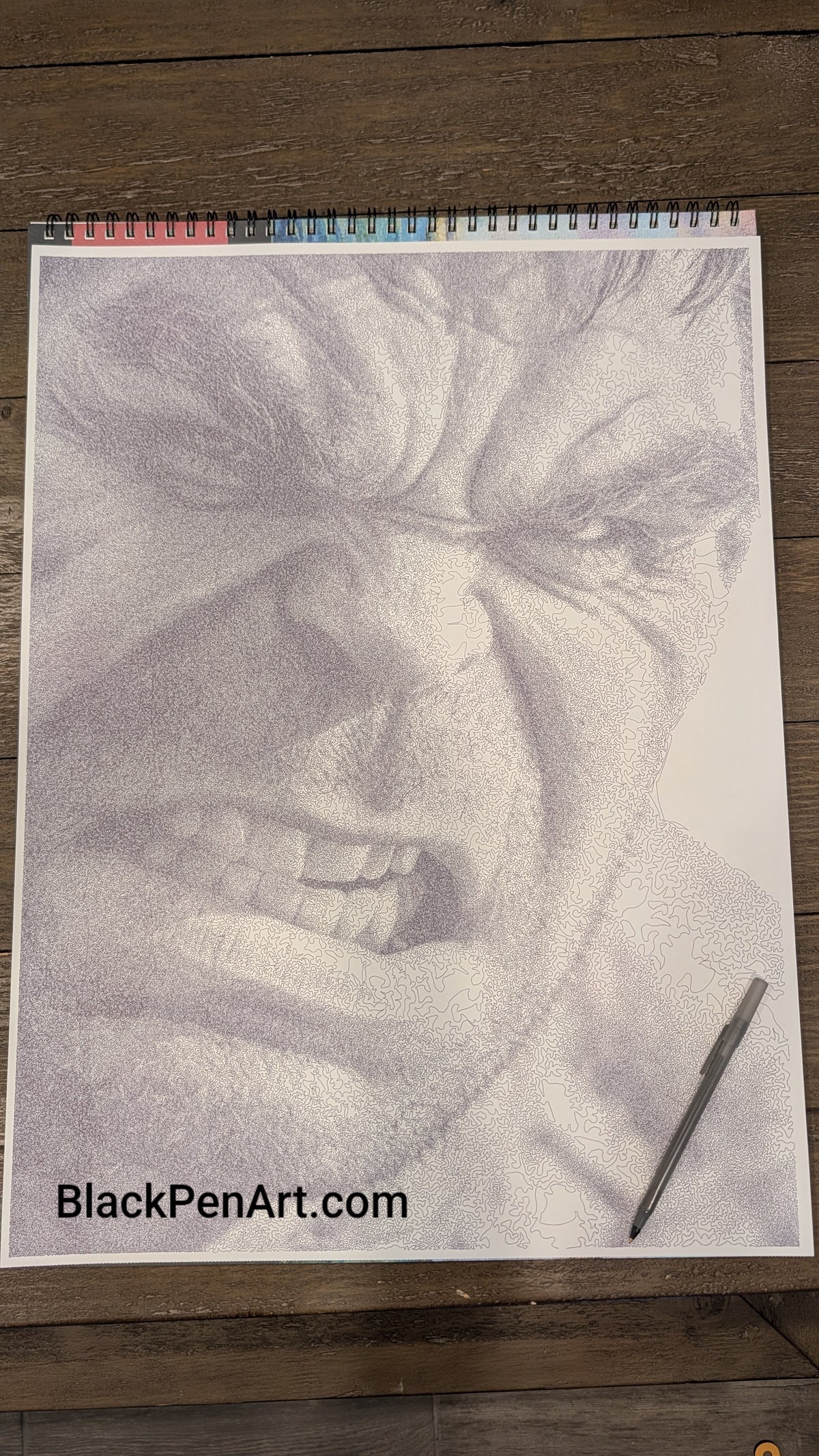 The Hulk: Black Pen Portrait